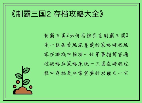 《制霸三国2 存档攻略大全》